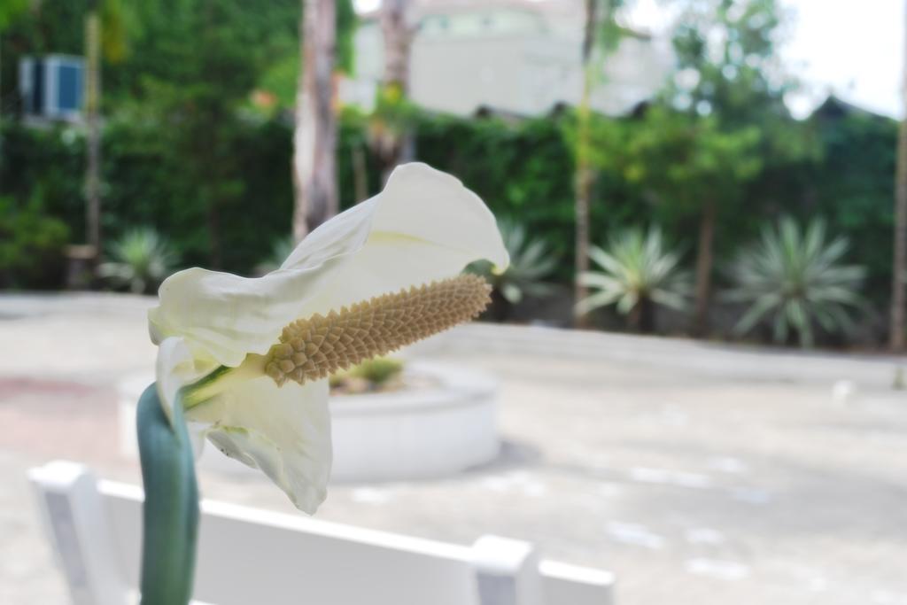 Hotel Guest Venancio Aires ภายนอก รูปภาพ